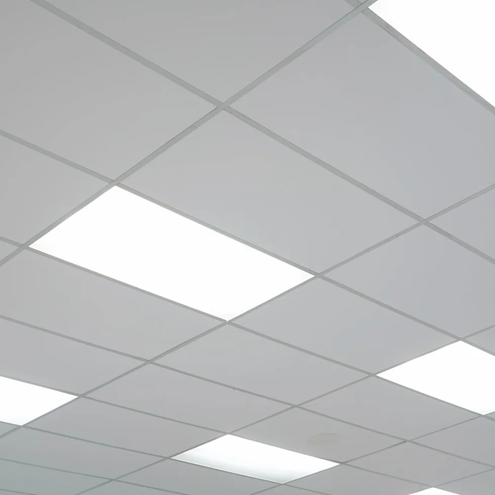 Panel LED 100W 10000Lm 6000K 120x60cm 40000H Greenice