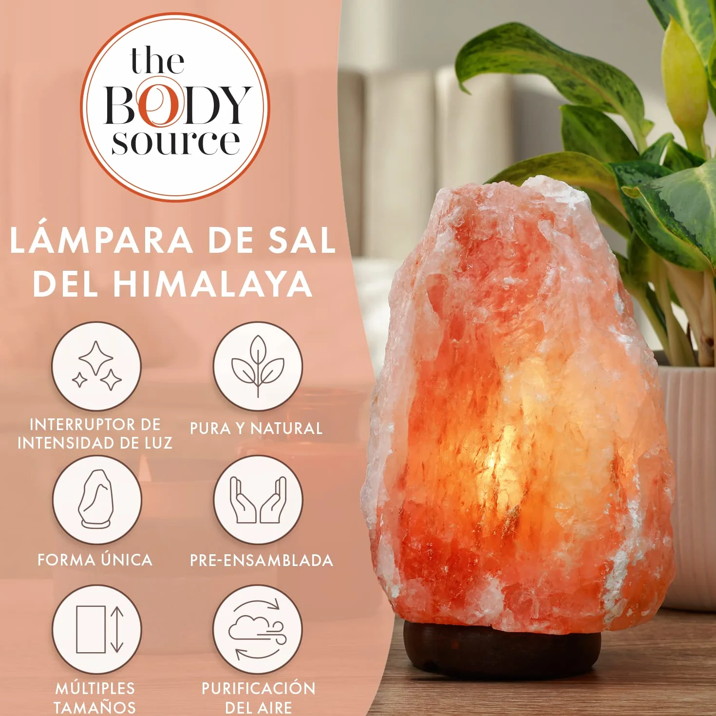 The Body Source Lámpara de Sal del Himalaya 2-3 KG con Regulador de Intensidad Base de Madera
